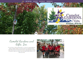 Example site